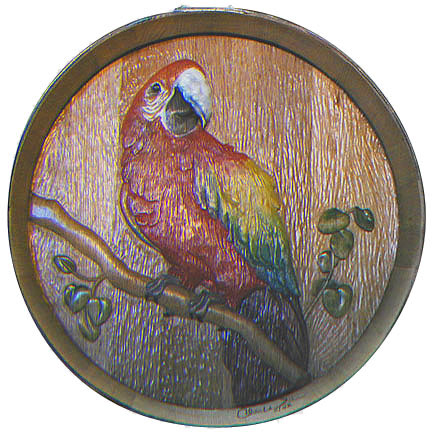 Parrot